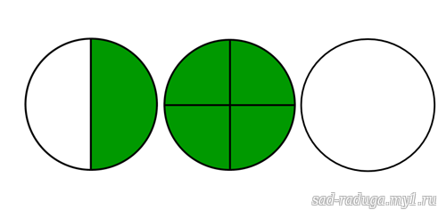 Круг разделенный на части. Круг разделенный на четыре части. Круг поделенный на 4 части. Круг разделённый на 4 чати.
